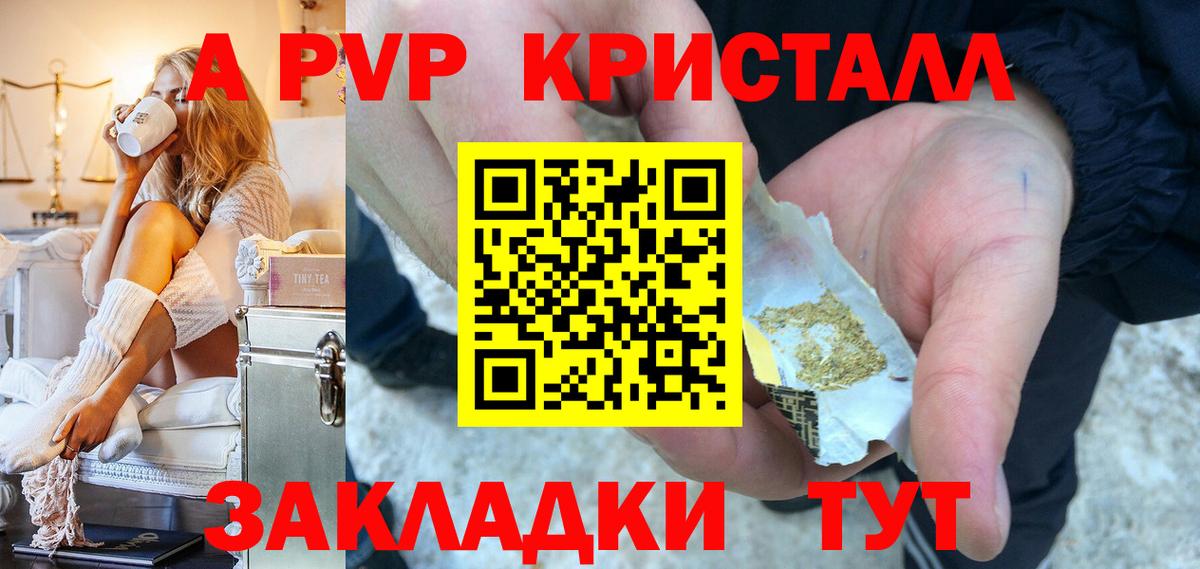 A PVP СК КРИС Вологда