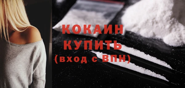 дживик Майский