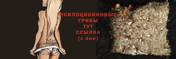 круглые Магас