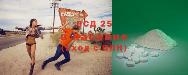 дживик Майский