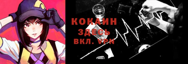 дживик Майский
