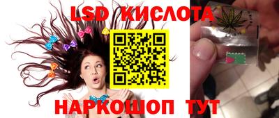 СК Бийск