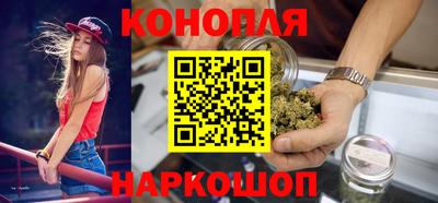 СК Бийск