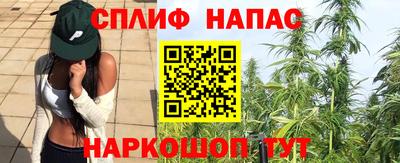 эйфоретик Берёзовский