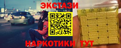 СК Бийск