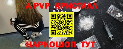 СК Бийск