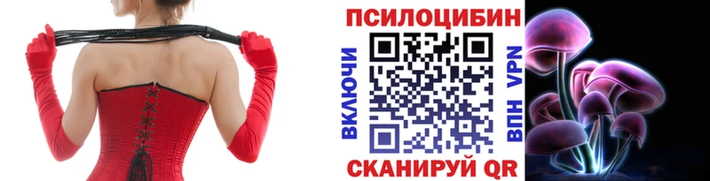 Псилоцибиновые грибы Psilocybine cubensis  Вологда 