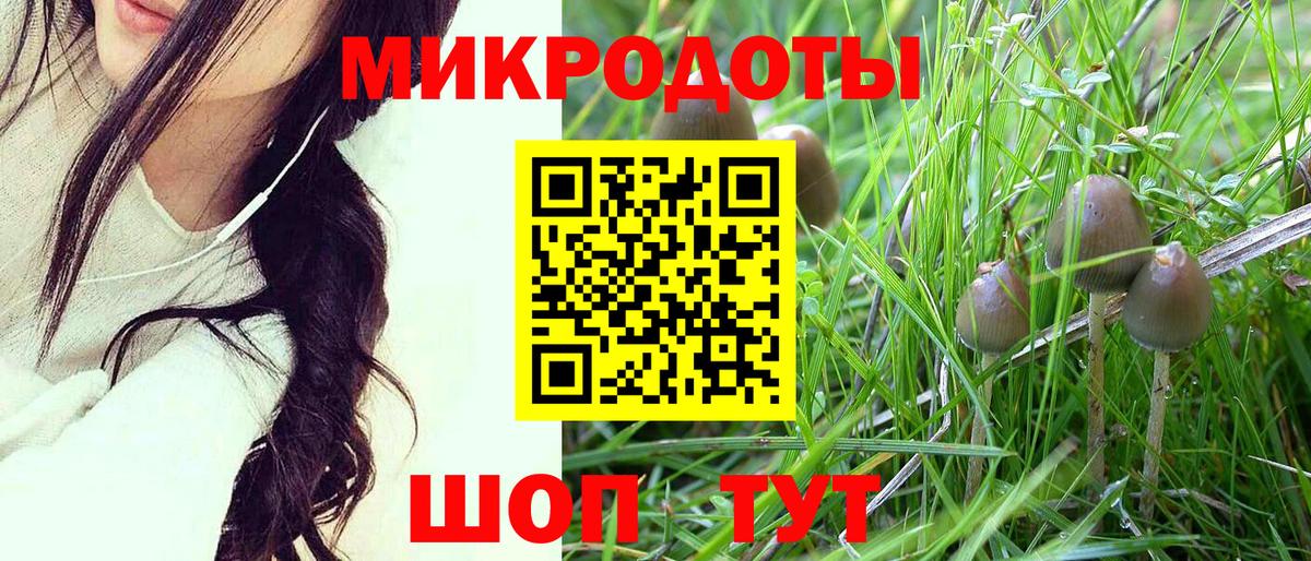 Псилоцибиновые грибы Psilocybe  Вход с VPN  Вологда 