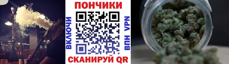 сколько стоит  Вологда  Бошки Шишки план 