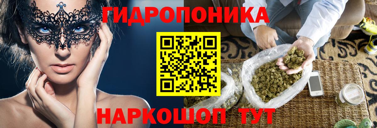 Каннабис конопля Вологда